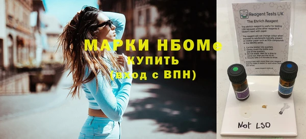 гашик Нея