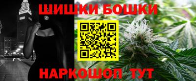 дмт Гатчина