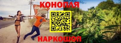 дмт Гатчина