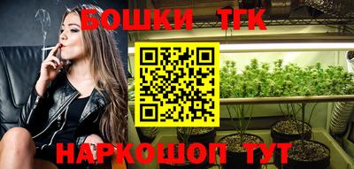 дмт Гатчина