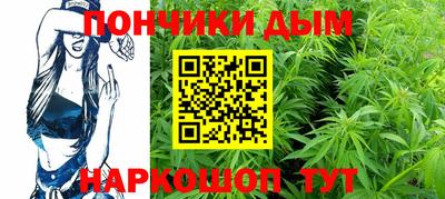 крисы Бийск