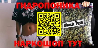 крисы Бийск