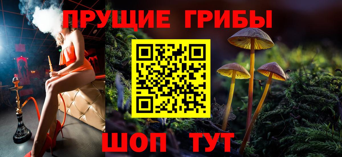 Псилоцибиновые грибы Psilocybe Советская Гавань