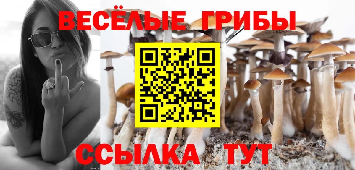 Галлюциногенные грибы Magic Shrooms Советская Гавань