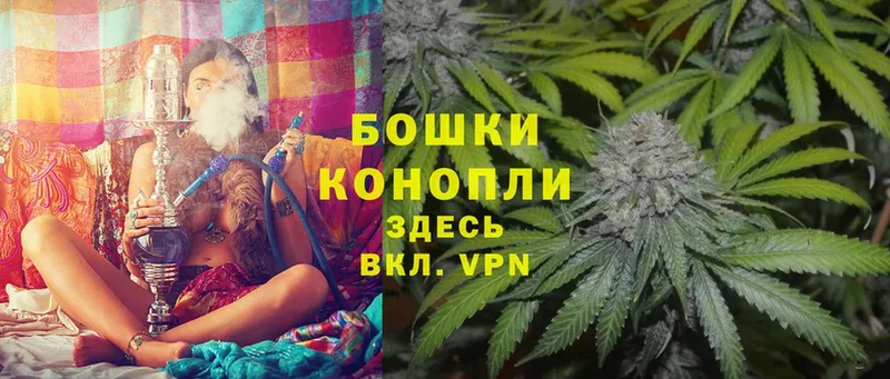 Бошки марихуана THC 21%  даркнет сайт  Советская Гавань 